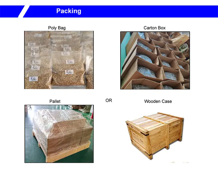 copper semi tubular rivets